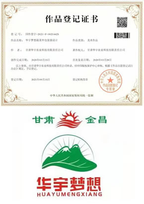 华宇公司软件著作权证书